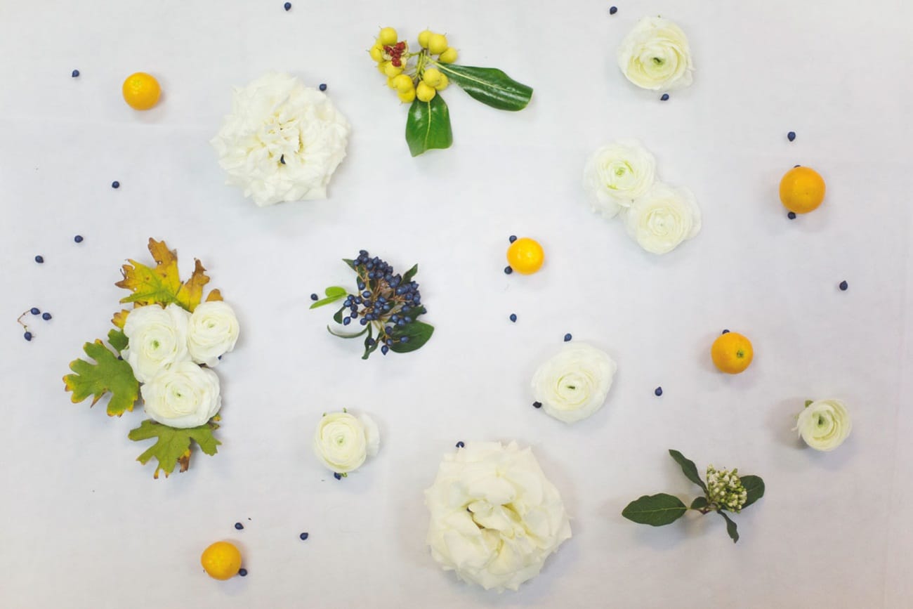 Λουλούδια λευκού γάμου νεραγκούλες