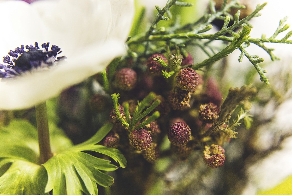 anemone flowers for winter weddings