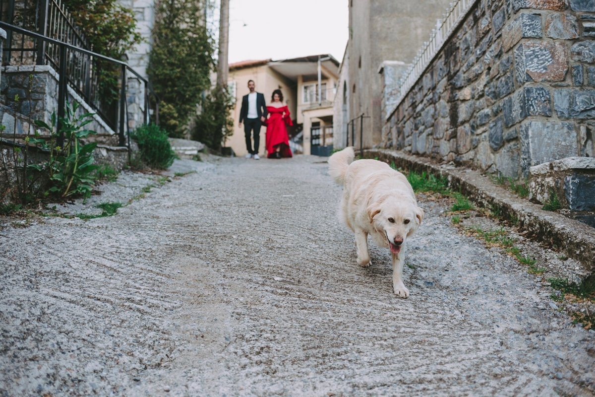 Fall pre wedding photoshoot in Vytina