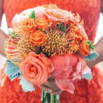 Pantone color for the year 2019 Living coral
